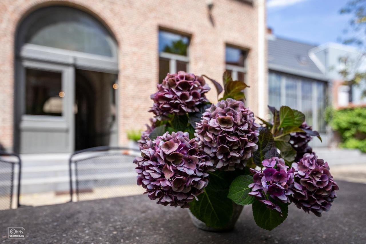 B&B La Corderie Hamme Bagian luar foto